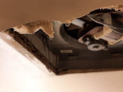 Professional water damage restoration services in Tampa